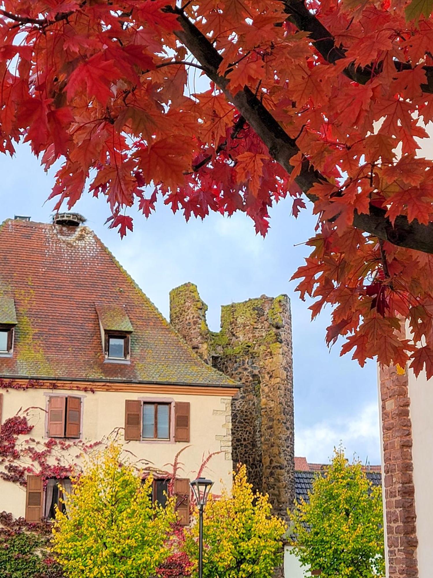 "La Vigne Dort" Cocon Romantique Herrlisheim-près-Colmar Eksteriør bilde